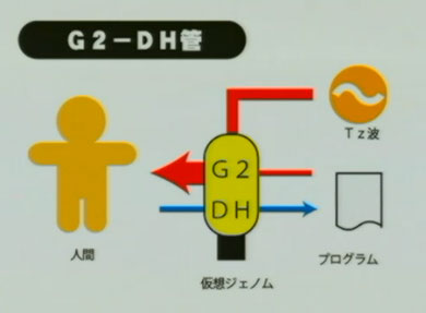 G2-DH管