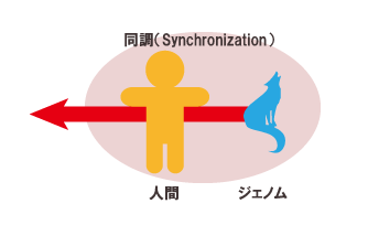 ジェノムとの同調